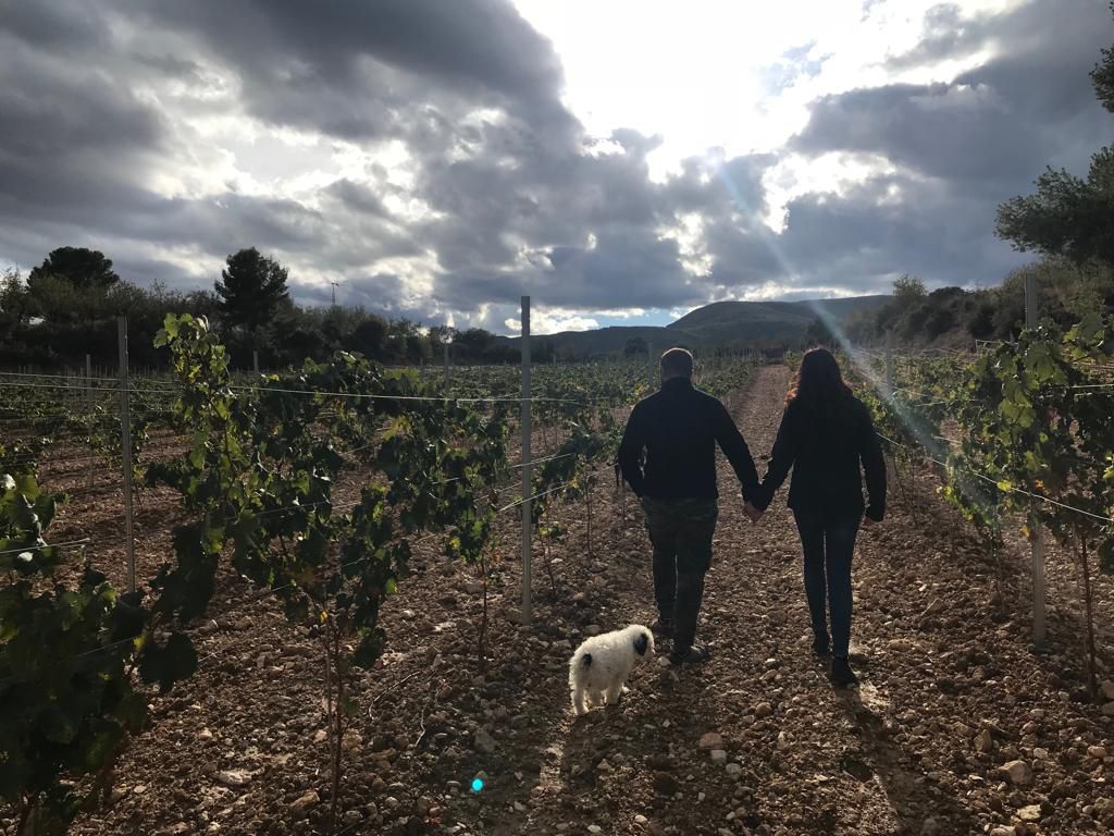 Odoo CMS - a big picture