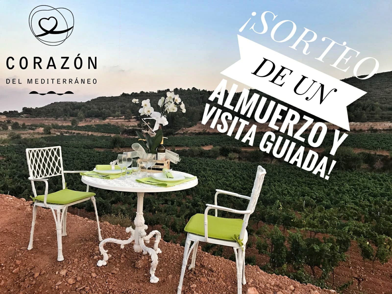 Odoo CMS - a big picture